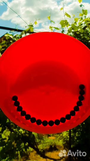 Фотография лишЪ