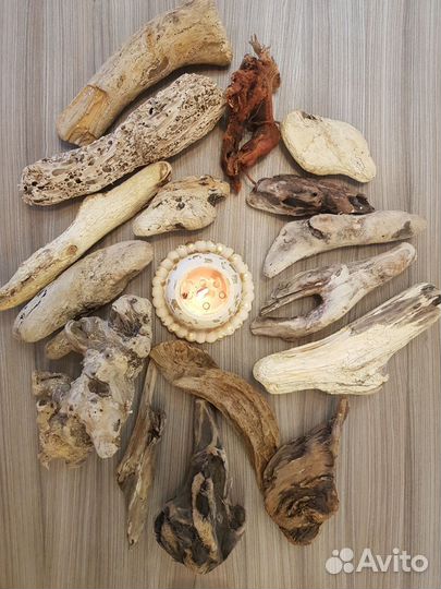 Дрифтвуд коряги