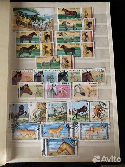 Почтовые марки Лошади