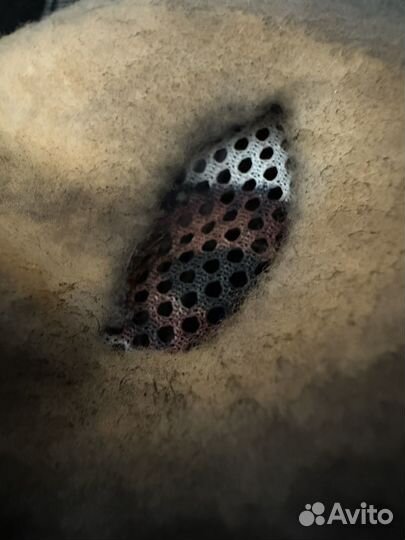 Маска для квадробики собака