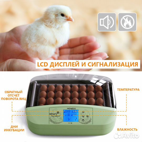 Инкубатор HHD 32 Wonegg автоматический для яиц