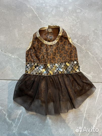 Одежда для животных