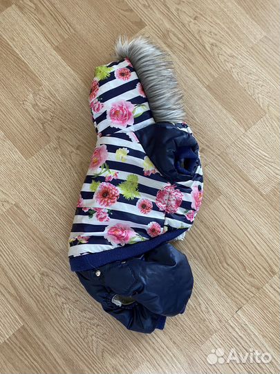 Куртка для собак мелких пород