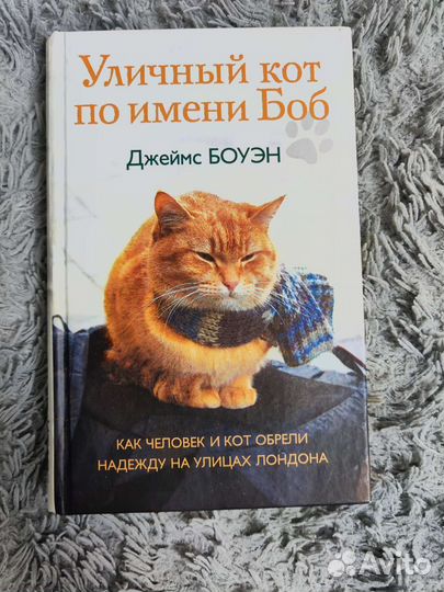 Книга Уличный кот по имени Боб