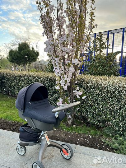 Коляска stokke 3 в 1