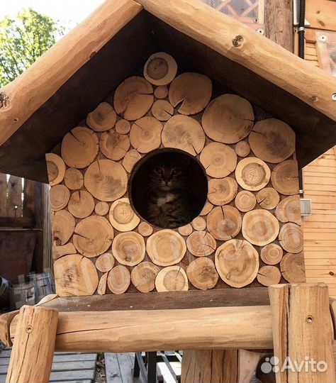 Дом для кота (дуб/лиственница)