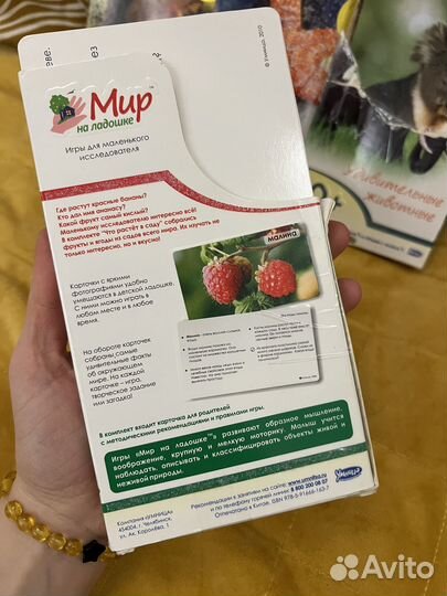 Карточки Умница мир на ладошке