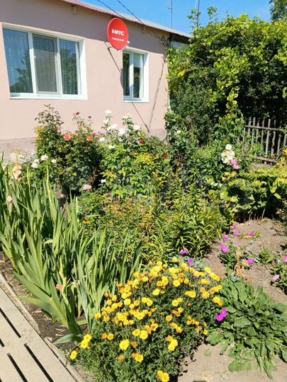 Дом 65 м² на участке 9 сот.