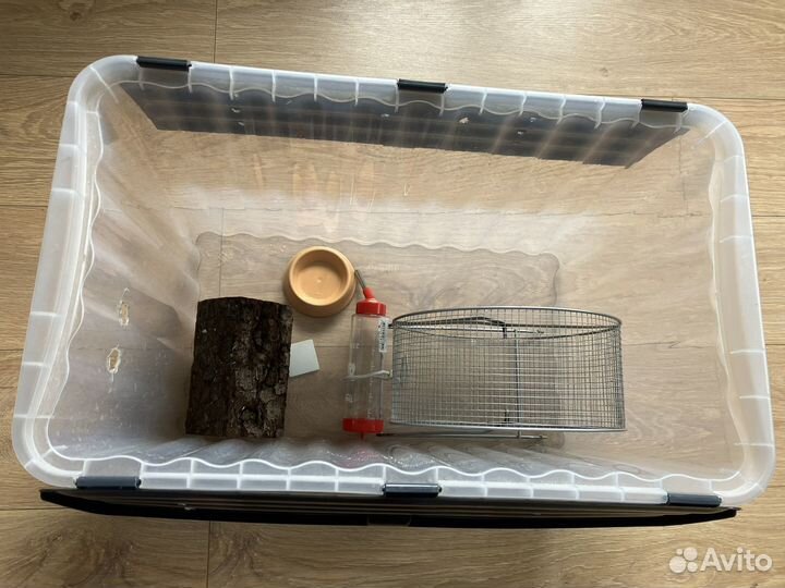 Клетка для хомячка, грызуна