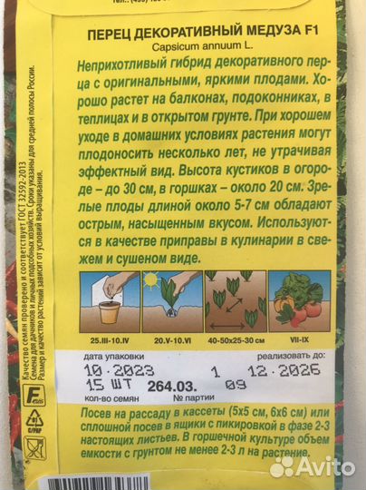 Рассада перца Медуза