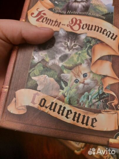 Коты воители специздание