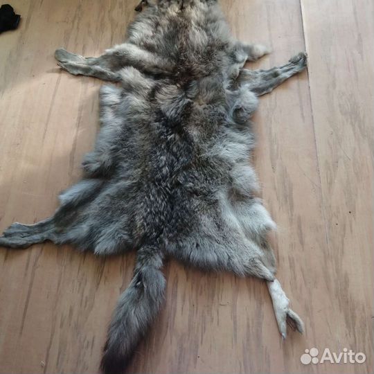 Продам шкуру волка
