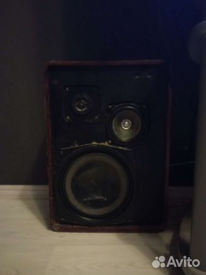 Акустические колонки СССР 100ас-060