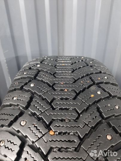 Cordiant Polar 195/65 R15 91T