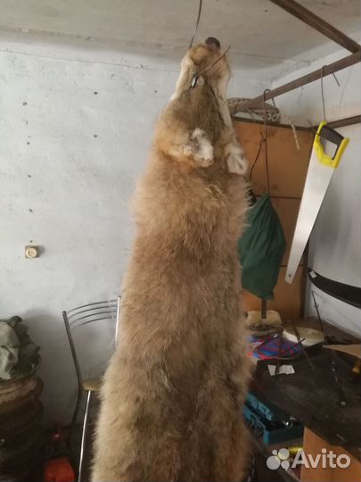 Шкура волка. Имитация