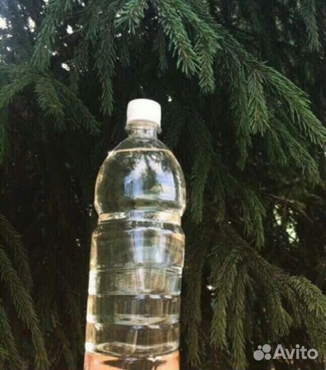 Пихтовое эфирное масло