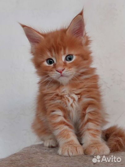 Нереальная красота