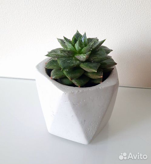 Кашпо горшок для цветов