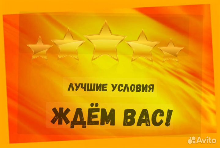 Наборщик заказов Без опыта Еженедельные выплаты