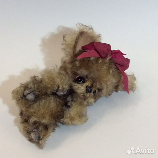 Йоркширский терьер