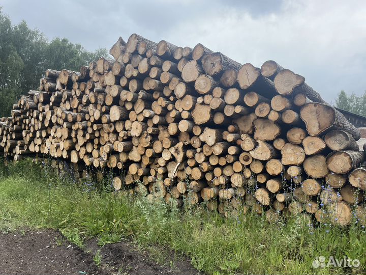 Пиловочник Осиновый