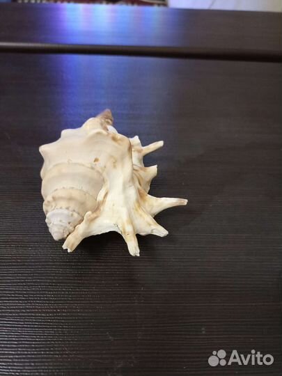 Декор для аквариума