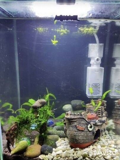 Аквариум aquael с крышкой 18 литров