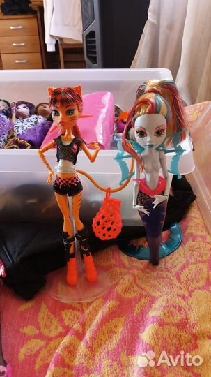 Монстер хай