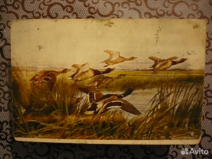 Открытое письмо 1928г
