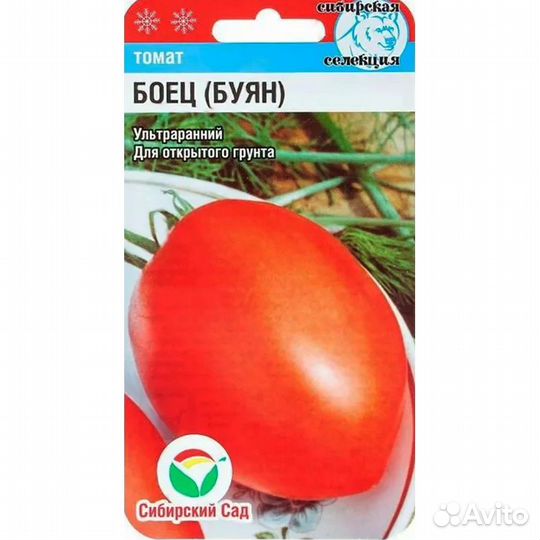 Томат Боец (Буян)