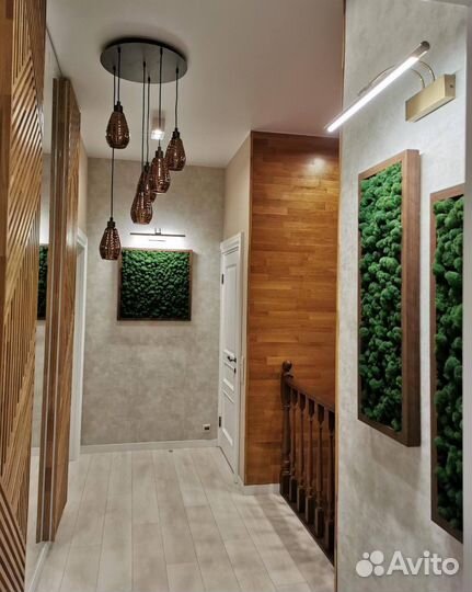 Озеленение помещений/ мох/ искусственные растения