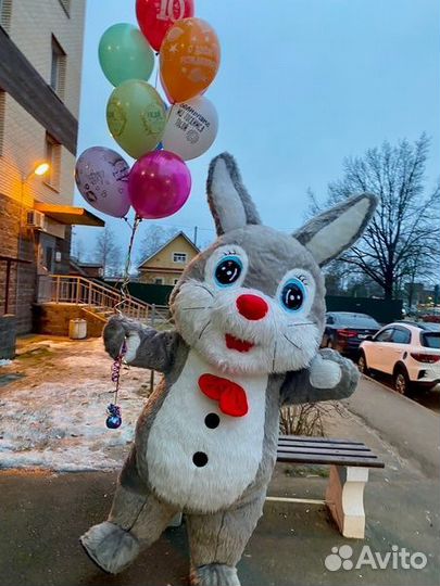 Поздравление от Зайки (Зайца)