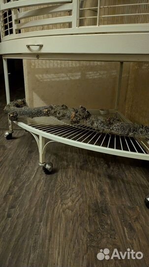 Клетка для крупного попугая Kredo A13