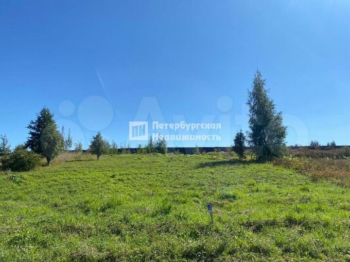 Участок 14 сот. (СНТ, ДНП)