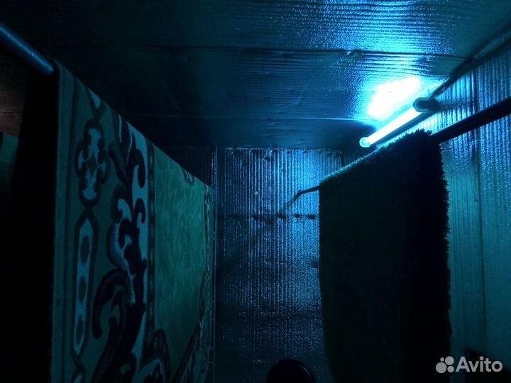 Стирка,мойка,химчистка,сушка ковров круглый год