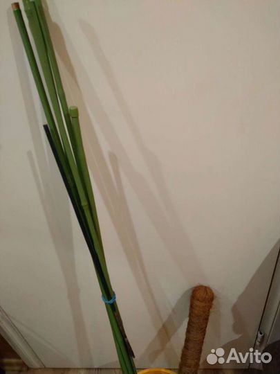 Опора для цветов