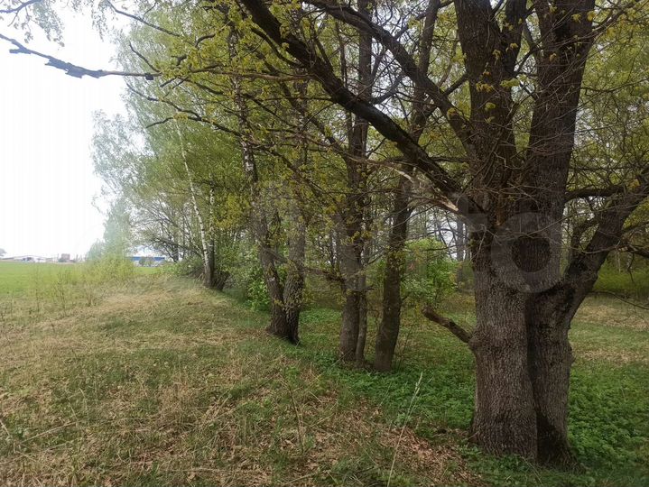 Участок 24 га (СНТ, ДНП)