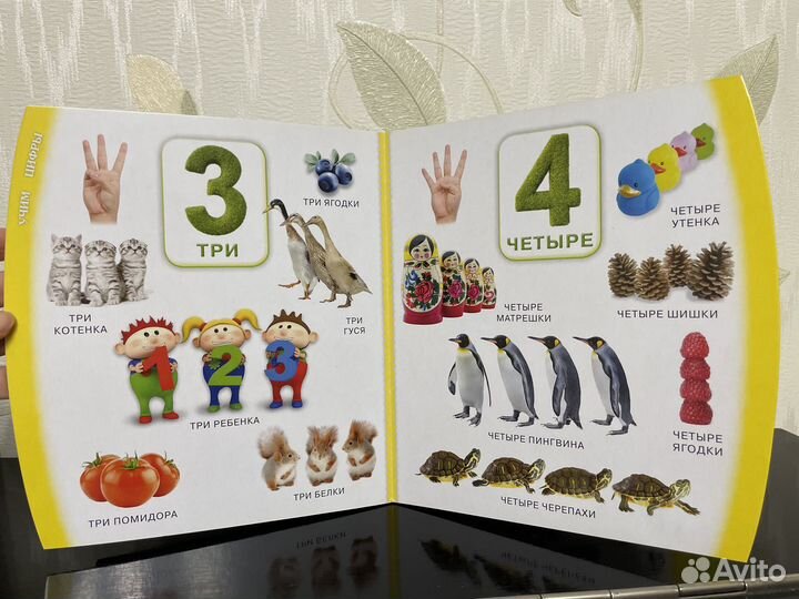 Азбука Счёт книжки-картонки для малышей