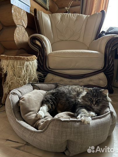 Лежанка для собак