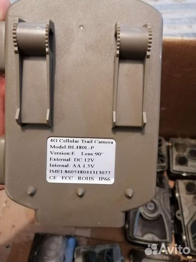 Фото ловушки