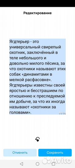 Щенки ягдтерьера