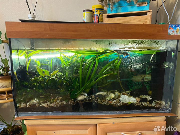 Аквариум