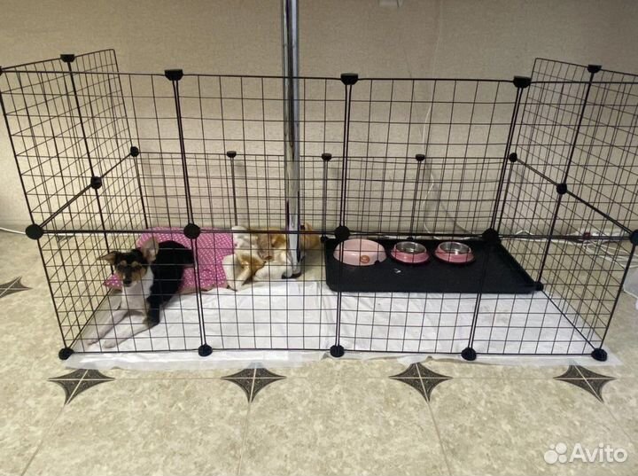 Вольер для домашних животных