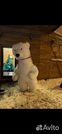 Белый Мишка. Москва