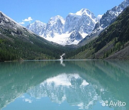 Туры по Горному Алтаю и Монголии