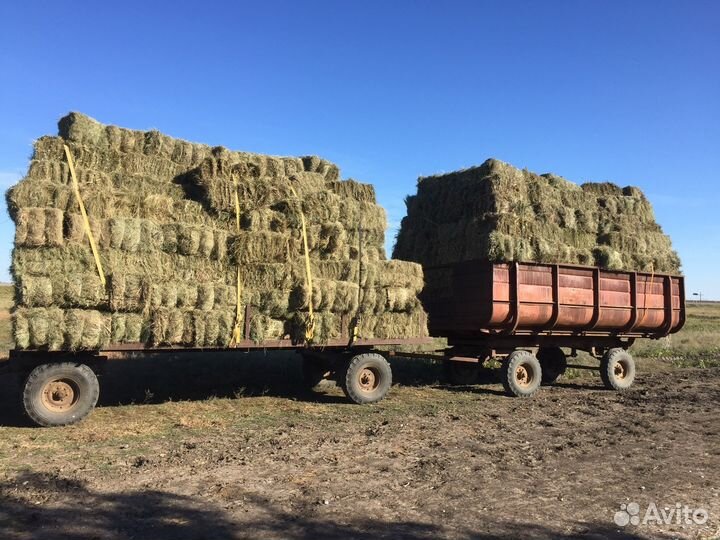 Сено степное разнотравье в кипах