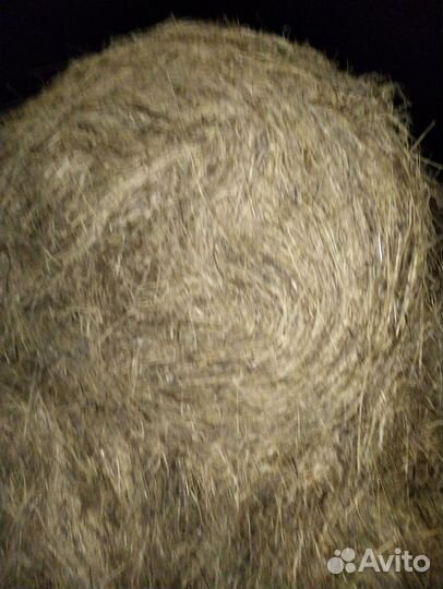 Продам сено в тюках