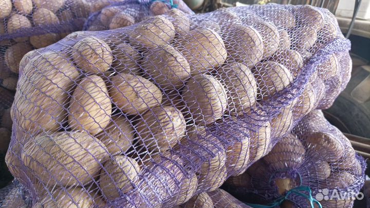Продажа картофеля оптом и в розницу