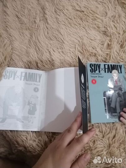 Книги Семья шпионов