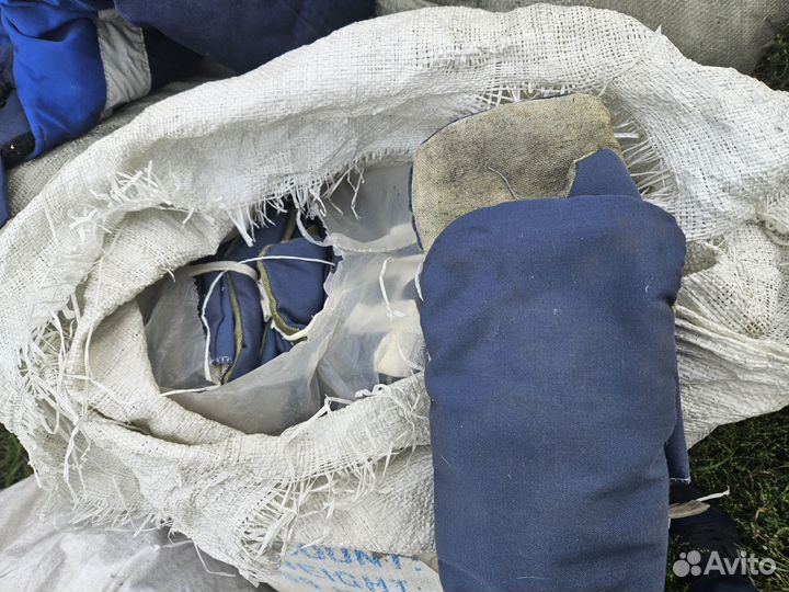 Голицы зимние